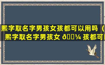 熙字取名字男孩女孩都可以用吗（熙字取名字男孩女 🐼 孩都可以用吗怎么取）